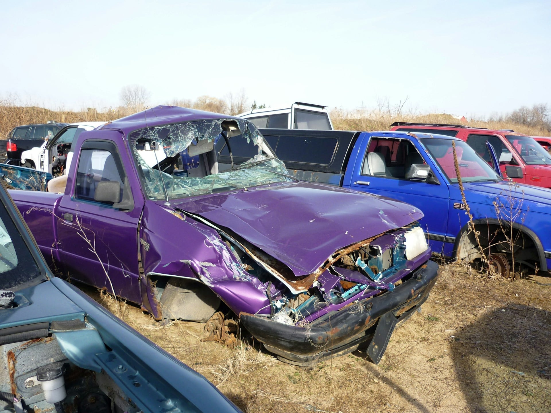 cars in a wrecking yard